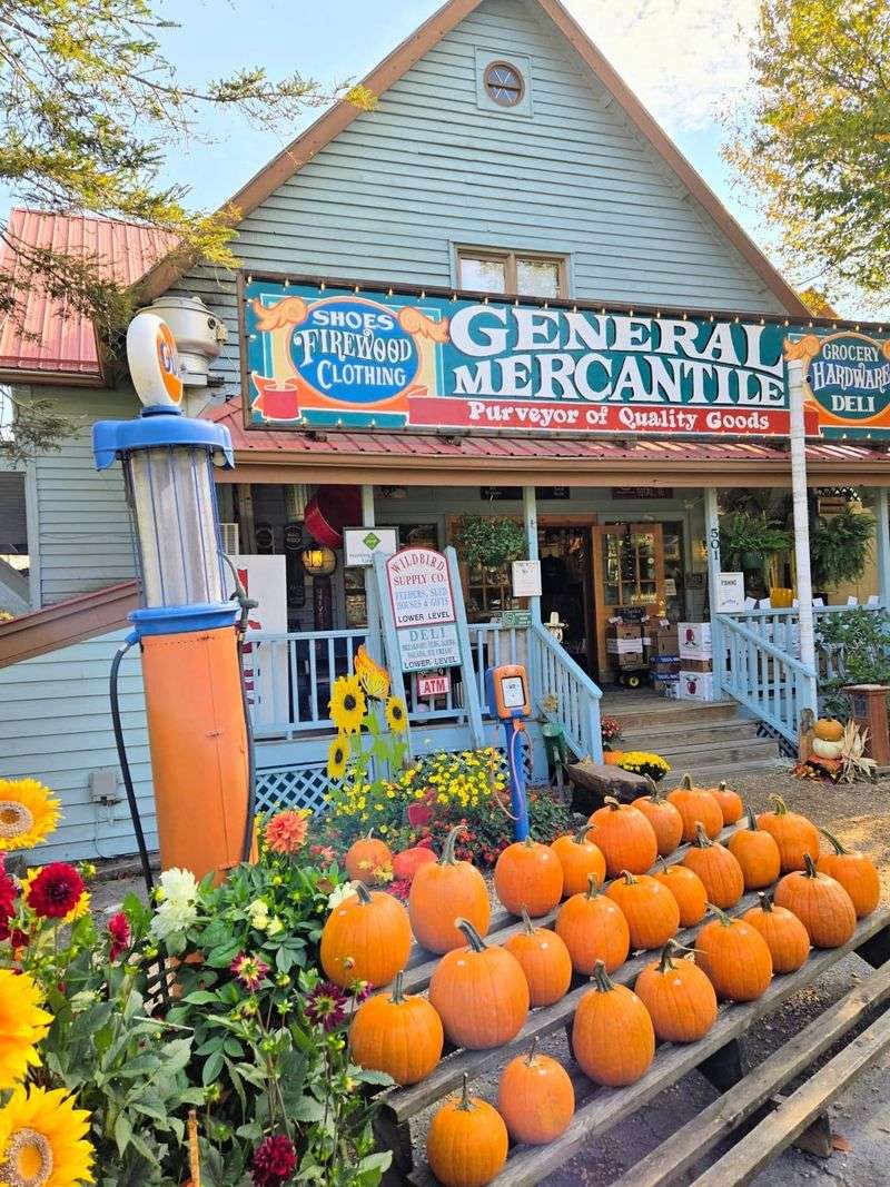 10 North Carolina Country Stores Where The Food's Worth The Backroads Drive - Decor Hint Fred's General Mercantile (Backside Deli) - Beech Mountain