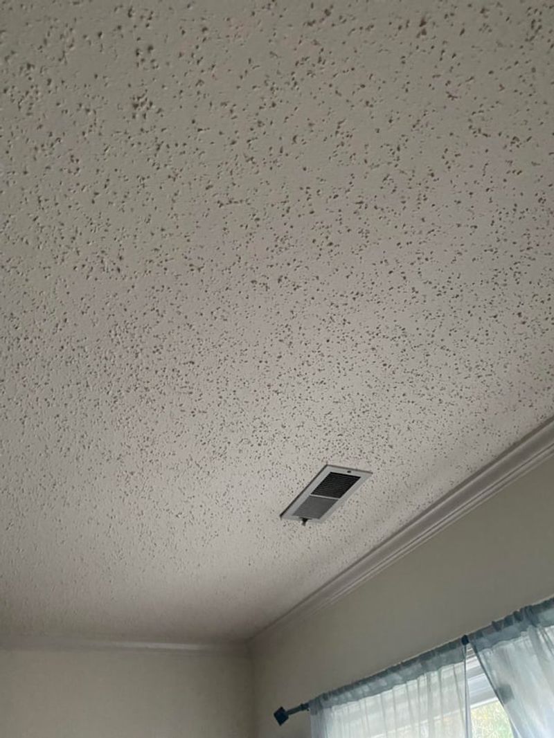 Homes With Popcorn Ceilings