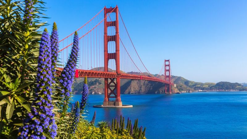 Regional Value Variation Creates Tax Disparities