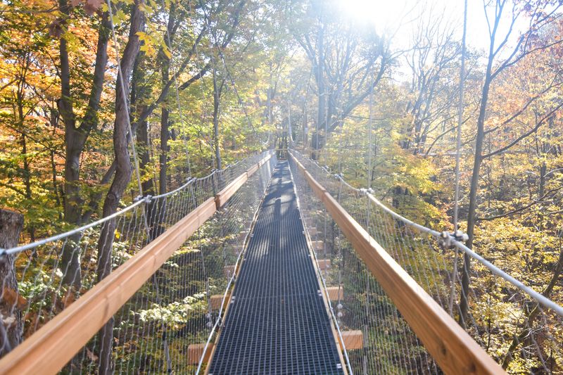 14 Secret Ohio Attractions That Mix Local Lore Hidden Beauty And A Touch Of The Paranormal - Decor Hint Holden Arboretum Canopy Walk in Kirtland
