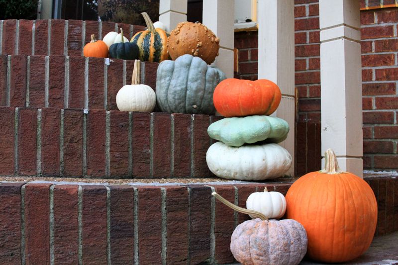 Pumpkin-Lined Steps Leading To The Patio