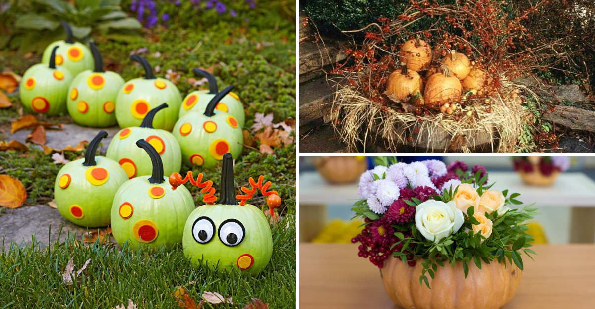 Pumpkin Filled Patios In South Carolina That Bring Halloween To Life - Decor Hint