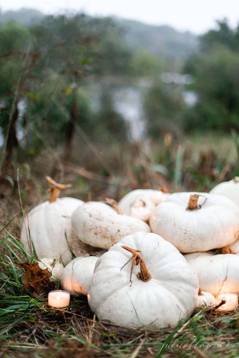 Glowing Pumpkins Arranged In A Circular Firepit Setup