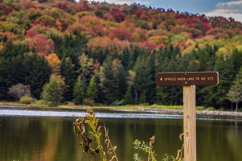 17 Scenic West Virginia Lakes You'll Fall In Love With - Decor Hint Spruce Knob Lake