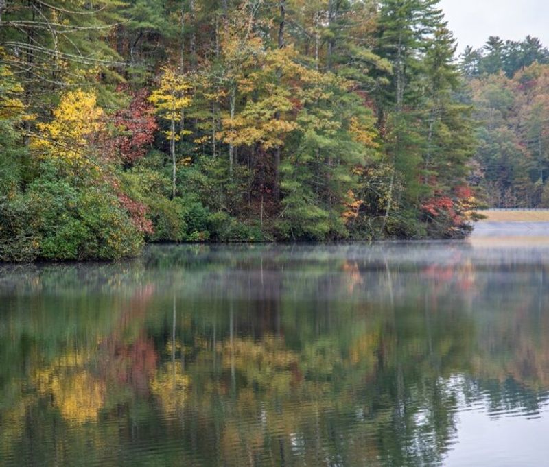 Georgia Spots Where You Might Just See Real Winter Snow - Decor Hint Unicoi State Park