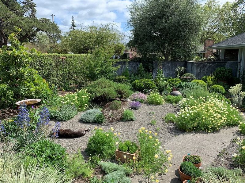 12 Garden Design Trends Shaping 2026 In New York - Decor Hint Drought Tolerant Climate Resilient Palettes