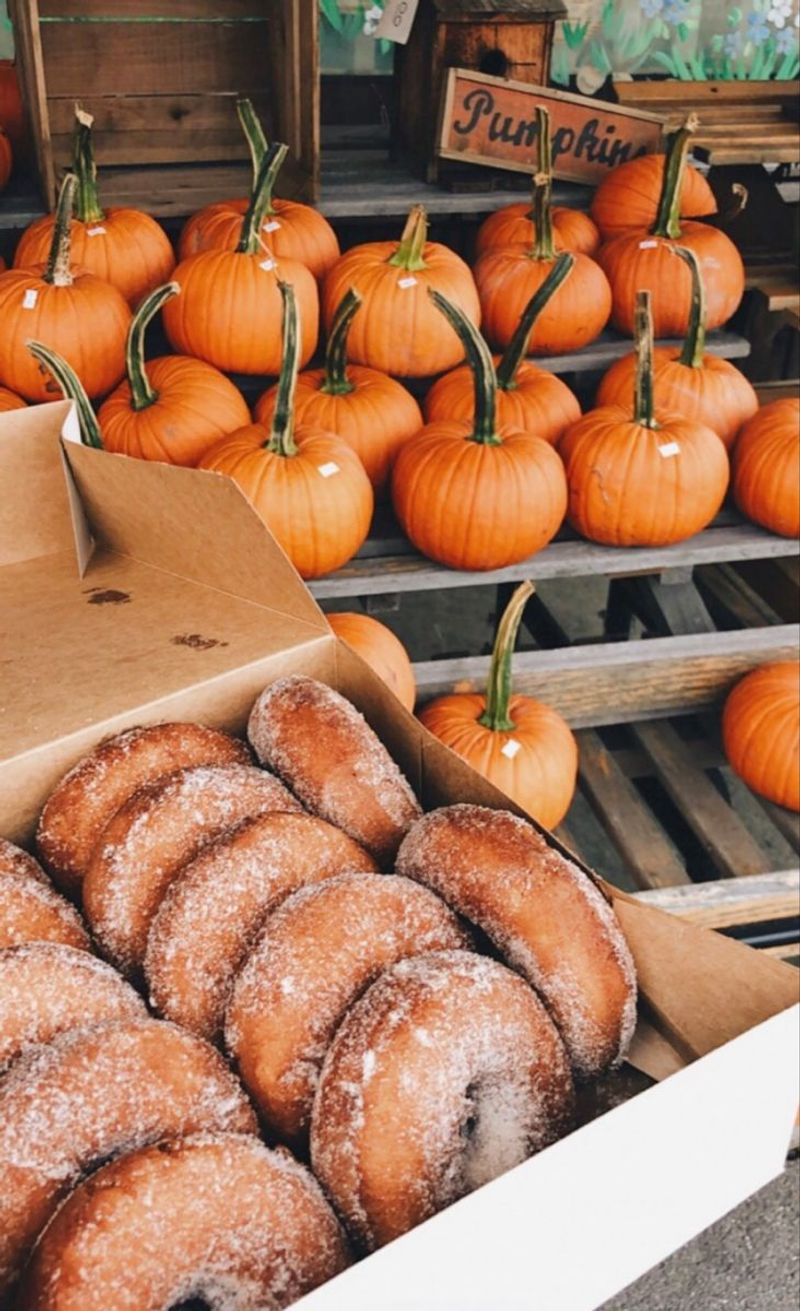 17 Ohio Cider-Donut Stands Locals Say Are Totally Worth The Turnoff - Decor Hint Mapleside Farms - Brunswick