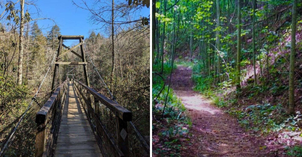 Recharge Your Soul In Blue Ridge Georgia - Decor Hint