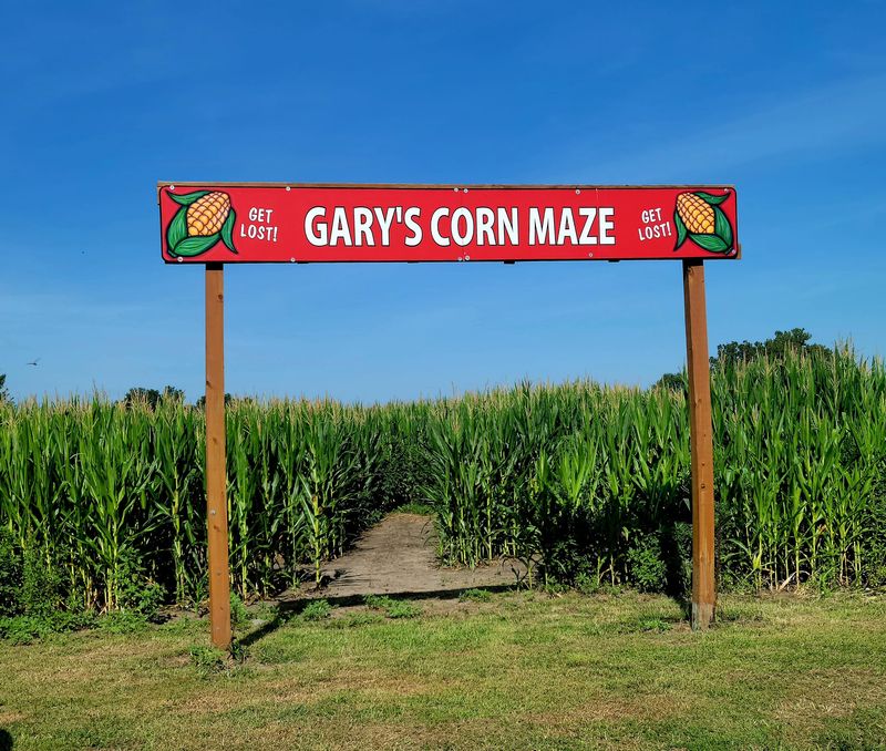 Gary's Berries Corn Maze & Pumpkin Patch, Grantville