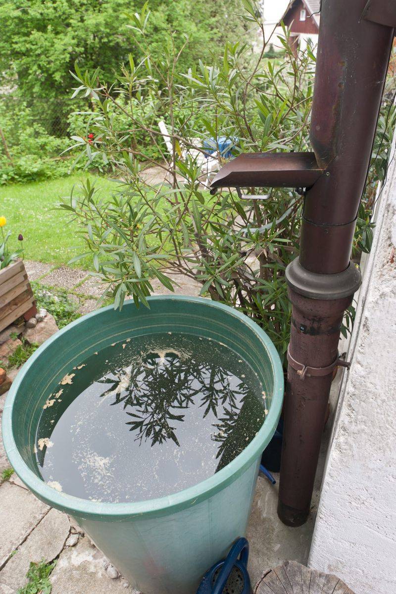 13 Easy Ways To Stop Pests From Invading Your Wyoming Home Before Fall - Decor Hint Eliminate Standing Water Around Your Property