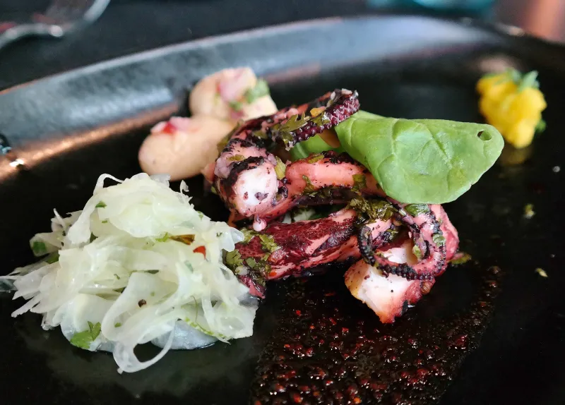 One Of America's Most Charming Restaurants Is In Arizona - Decor Hint What Makes Mariposa Stand Out In Arizona Dining