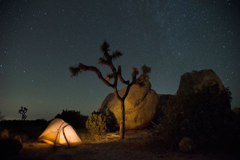 Camp Under The Stars In Joshua Tree National Park