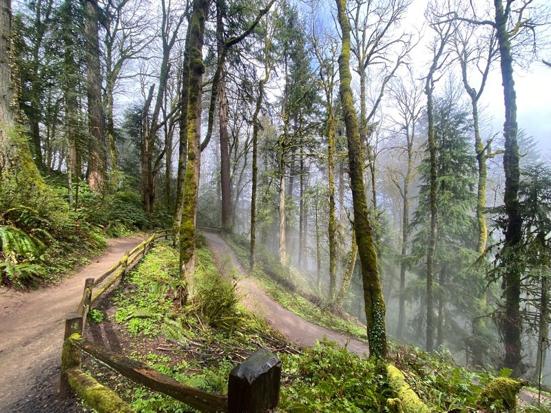 How To Explore Portland, Oregon Like Everyone Else Does - Decor Hint Seek Out Nature And City Escapes