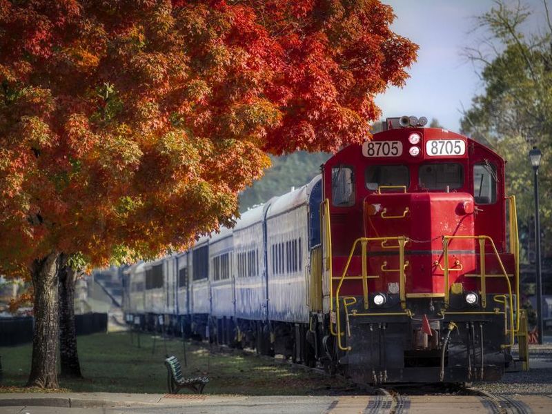All Aboard! 12 Scenic Train Trips Across Georgia Worth Taking - Decor Hint Albany Pine Railroad Excursion, Albany