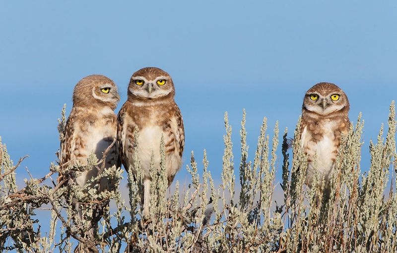 Oregon's Forest Hideaway With 360 Views And Endless Trails - Decor Hint Flora, Fauna & Wildlife Encounters