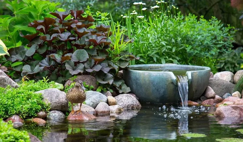 14 Easy DIY Backyard Fountain Ideas In Florida - Decor Hint Pond-Style Fountain With Aquatic Plants