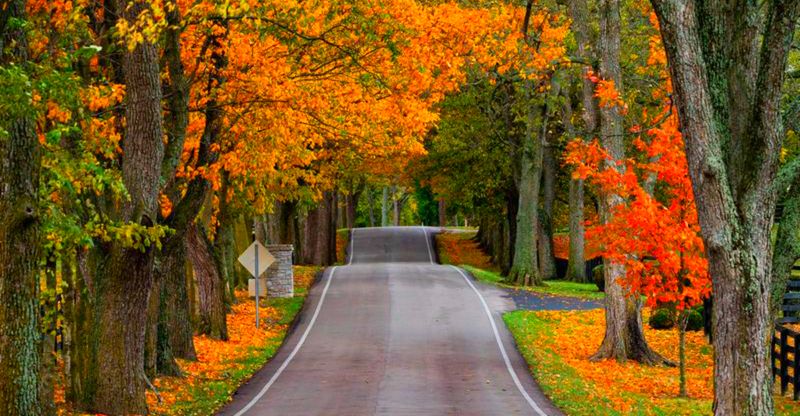 This Quaint Kentucky City Near Lexington Blends Rolling Farmland With Incredible Local Dining - Decor Hint Paris Pike As A Scenic Byway
