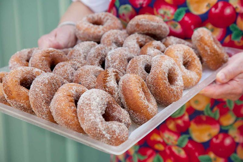17 Illinois Cider Donut Stands That Make Every Bite Feel Like Autumn - Decor Hint County Line Orchard - Hobart, Indiana (near Illinois border)