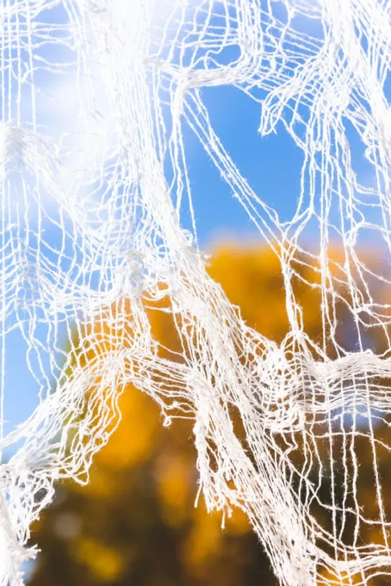 Spider Web Drapes & Gauze Fabrics