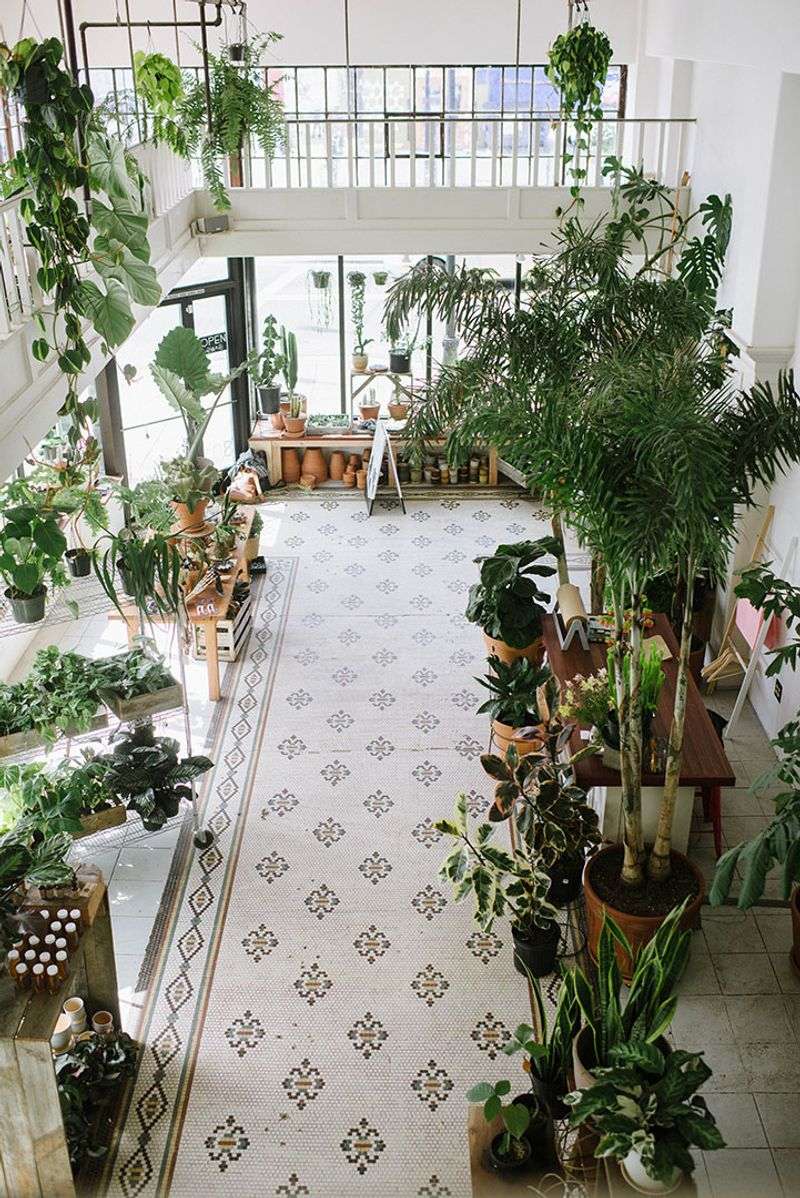 Solabee Flowers & Botanicals