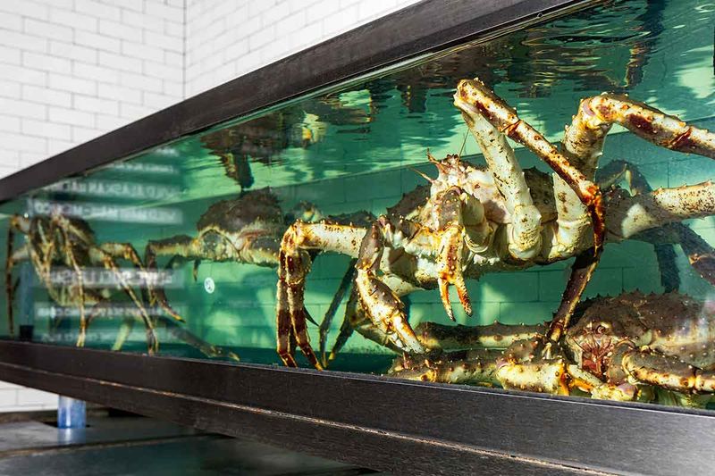 California King Crab Spots That Don't Need The Hype To Pack The House - Decor Hint Water Grill - San Diego