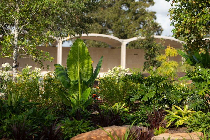 Houston Botanic Garden – Global Collection Garden