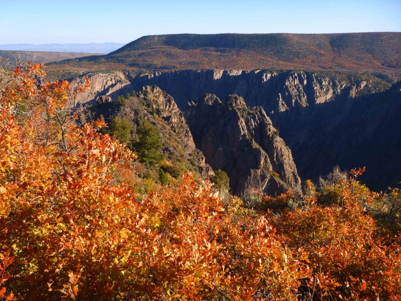 Where To Catch The Last Fall Colors In Colorado Before They're Gone - Decor Hint Black Canyon Of The Gunnison