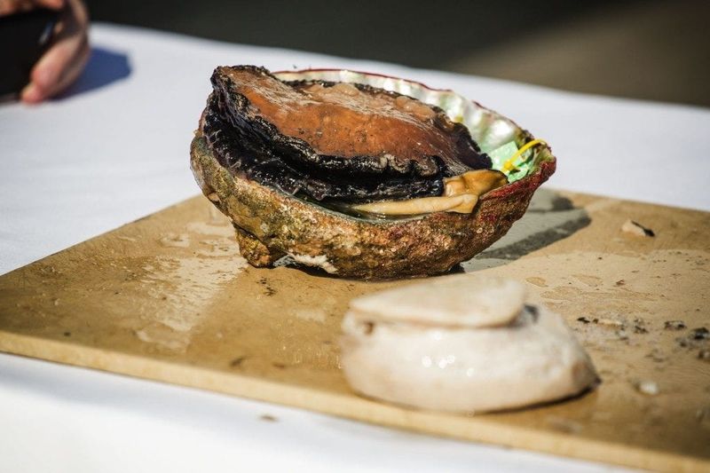 Grilled Abalone Steaks