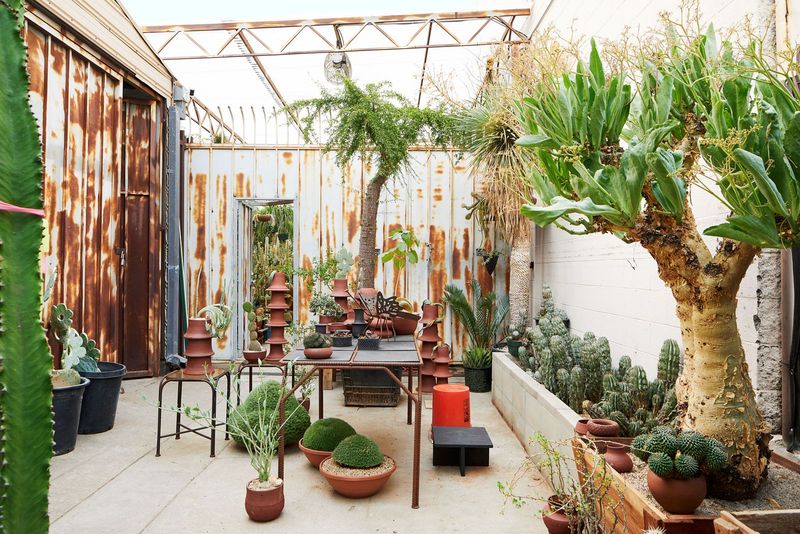 Echo Flora Lab, Echo Park