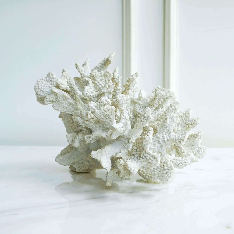 Coral Sculpture Accents
