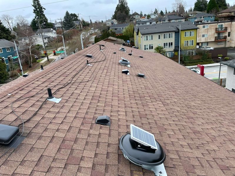 The Alabama Home Fix Locals Say Actually Stops Mold - Decor Hint Install Proper Attic Ventilation and Insulation