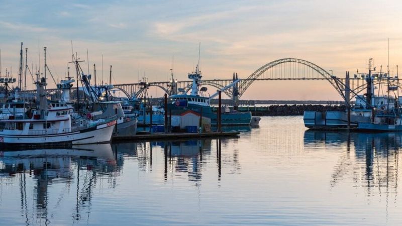 Newport