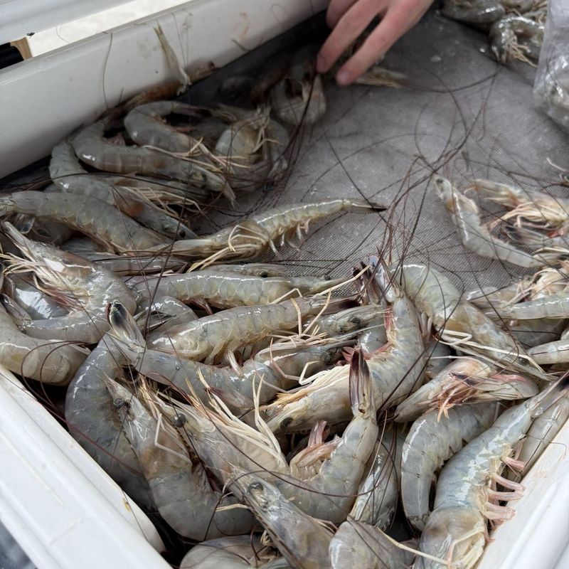 Beaufort Inlet Seafood - Beaufort