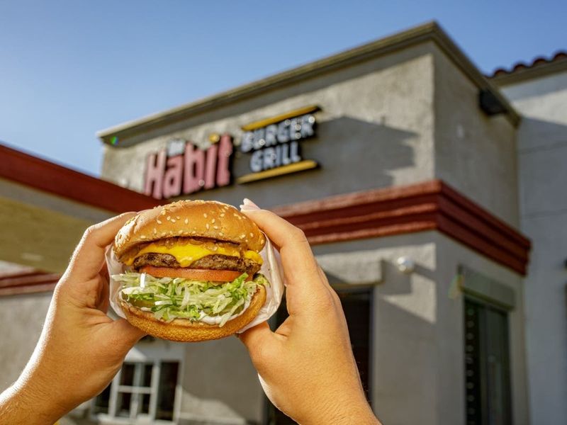 California Fast-Casual Chains That Fell Short Of Expectations - Decor Hint The Habit Burger Grill