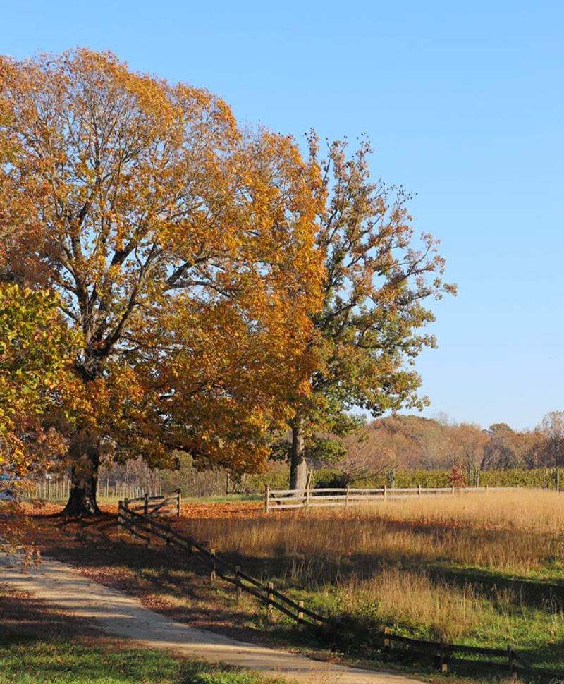 Charlottesville Countryside Circuit