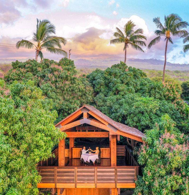 Hotel Wailea, Maui
