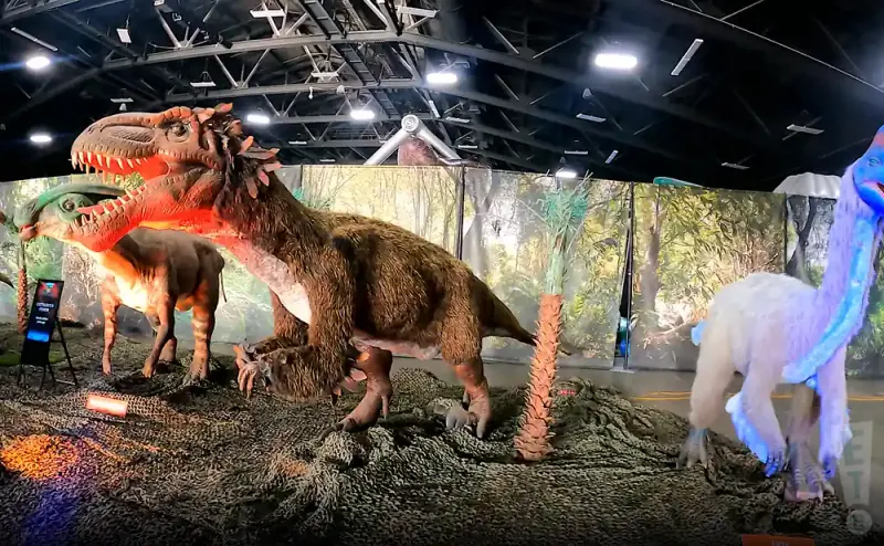 Participate In The Dino Rides