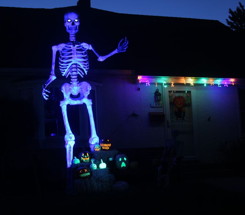 Dancing Skeleton Light Show