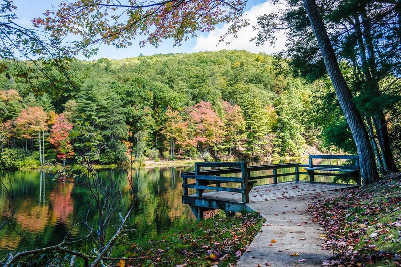 17 Scenic West Virginia Lakes You'll Fall In Love With - Decor Hint Watoga Lake