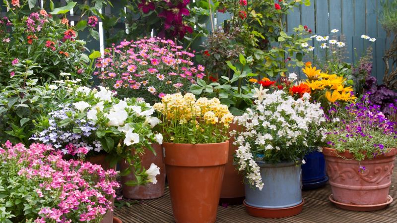 12 Garden Design Trends Shaping 2026 In New York - Decor Hint Container Clusters And Statement Pots