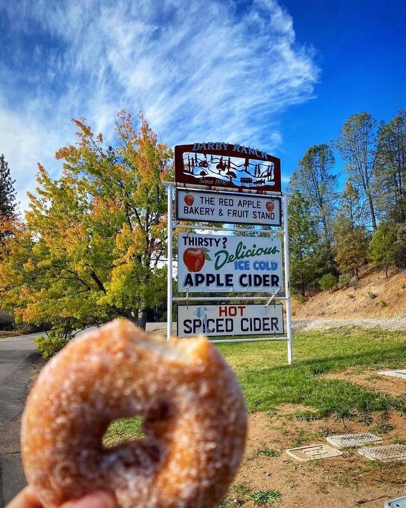 13 Hidden Cider-Donut Spots In California That Smell Like Autumn - Decor Hint The Red Apple, Murphys, CA