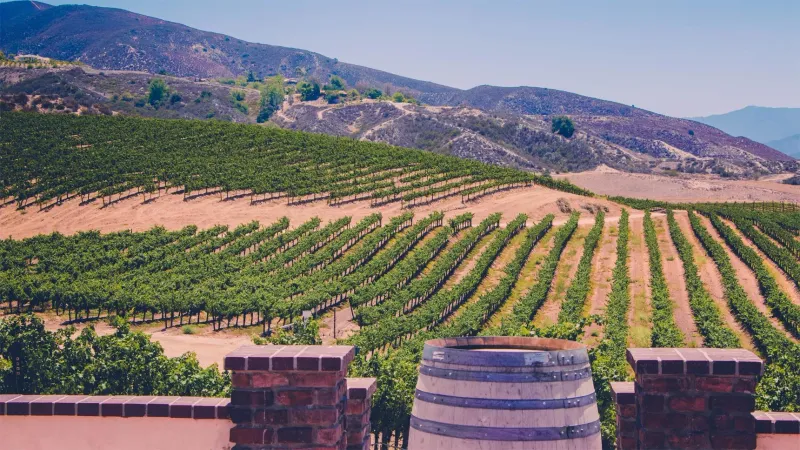 Forget New York, 10 Lesser-Known Cities In California Worth Visiting - Decor Hint Paso Robles