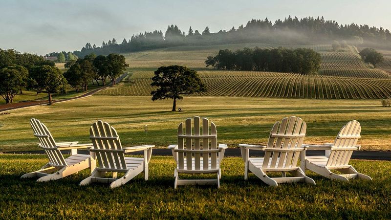10 Oregon Wineries Where Harvest Season Means Fun For Everyone - Decor Hint Stoller Family Estate