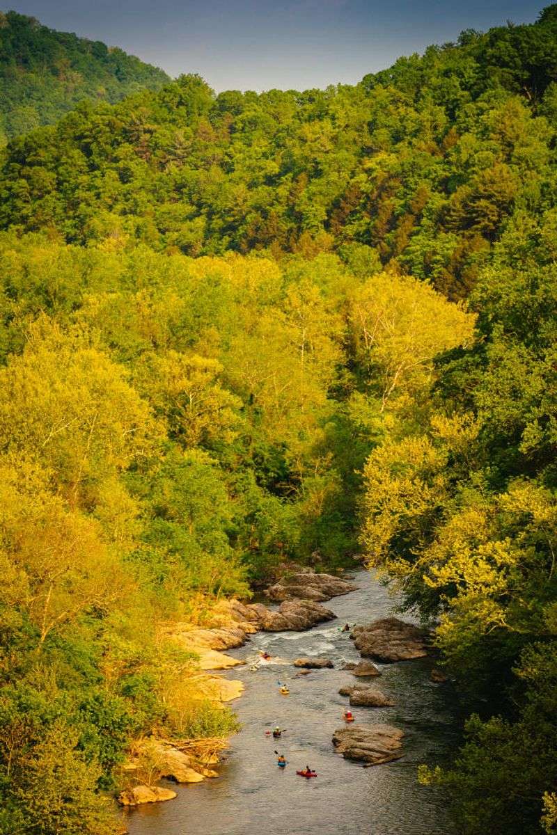 Central Virginia Lakeside Loop