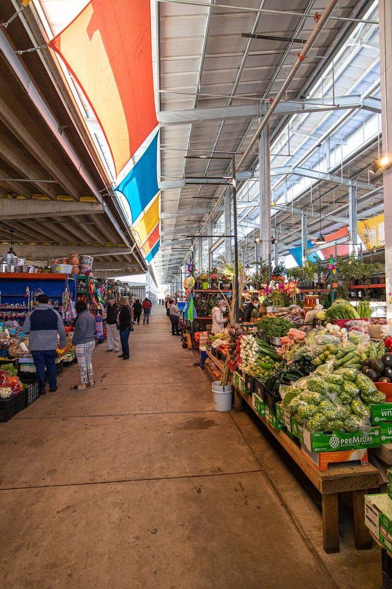 Texas's Top Grocery Stores for Grill-Ready Meats And Gulf-Fresh Seafood That Locals Swear By - Decor Hint Airline Farmers Market