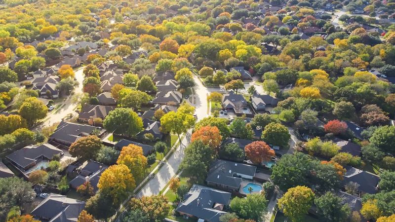 Kingwood: The Livable Forest Northeast Of Houston