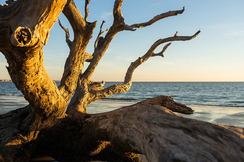10 Georgia Beach Towns Overrun By Tourists, According To Locals - Decor Hint Jekyll Island