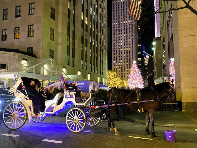 14 New York Tourist Traps Even Smart Travelers Fall For Again And Again - Decor Hint Carriage Rides Through Central Park