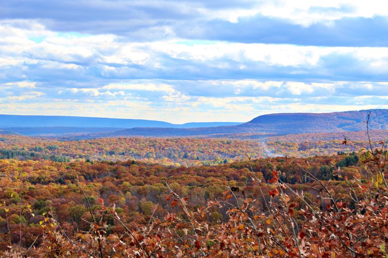 Preserving The Borough's Natural Beauty