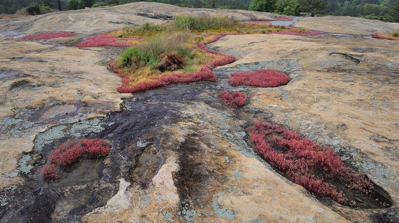Arabia Mountain National Heritage Area – Lithonia